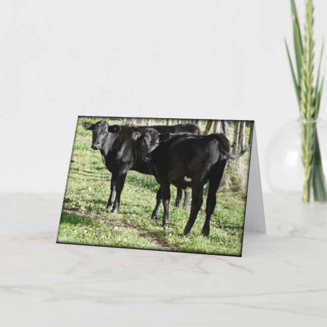 Tarjeta Calves de Angus Heifer Black (Anverso)