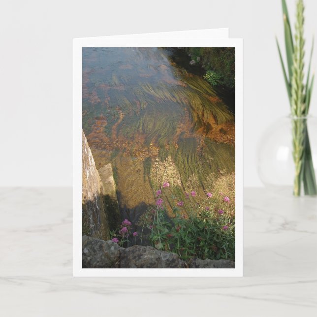 Tarjeta Cama de río (Anverso)