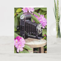 Cámara Birday Vintage Bellows