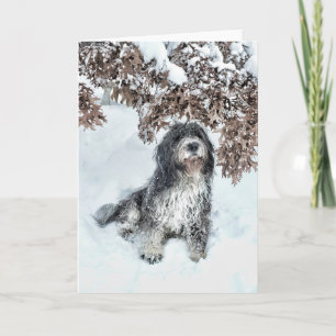 Tarjeta Cambio de las estaciones