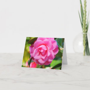 Tarjeta Camelia