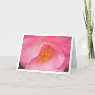 Tarjeta Camelia color de rosa suave