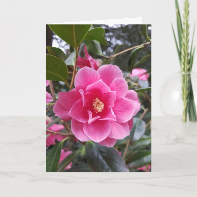 Tarjeta Camelia en el parque (Anverso)