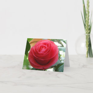 Tarjeta Camelia Notecard