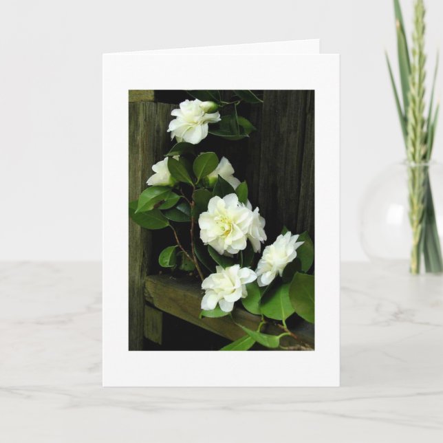 TARJETA CAMELIAS (Anverso)