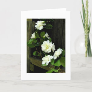 TARJETA CAMELIAS