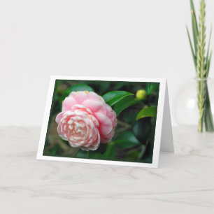 Tarjeta "Camellia"