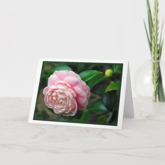 Tarjeta "Camellia" (Anverso)