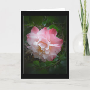 Tarjeta Camellia Blank Greeting Card