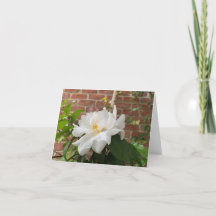 Tarjeta Camellia (en blanco)