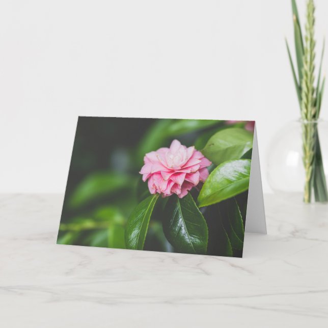Tarjeta Camellia Japonica (Anverso)
