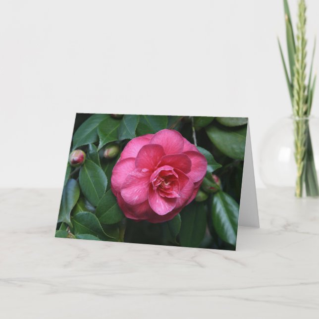 Tarjeta "Camellia rosa # 1" (Anverso)