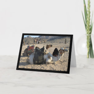 Tarjeta Camellos descansando en el desierto