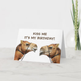 Tarjeta Camels Kissing Funny Greeting Card