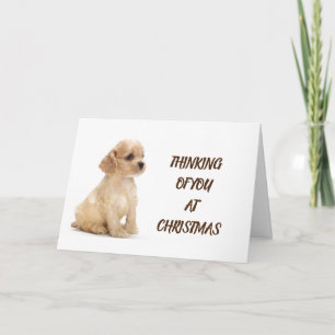 TARJETA CAMINADOR DE PERROS, VETERINARIO Y PERRO