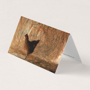Tarjeta "Caminando" - Pollo fotográfico mejorado digitalme