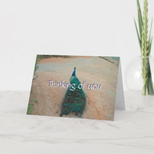 Tarjeta Caminar lejos del pavo real - Pensar en tu carta