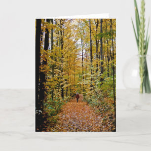 Tarjeta caminar por el bosque