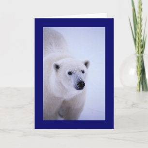 Tarjeta Caminar por el lado salvaje - Oso Polar