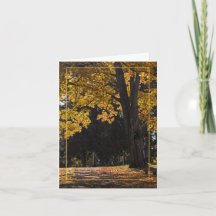 Caminata Confortable