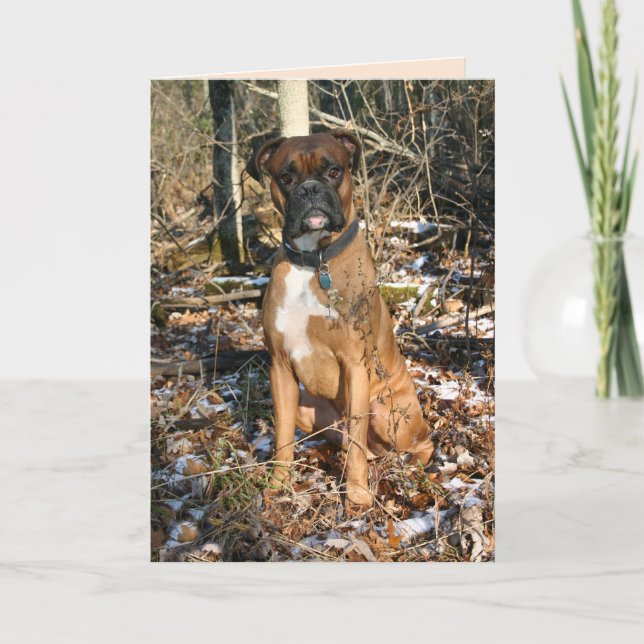 Tarjeta Caminata de Bosques Boxer (Anverso)