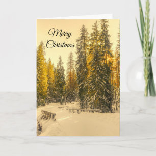 Tarjeta Camino de invierno con nieve y Navidades de pinos