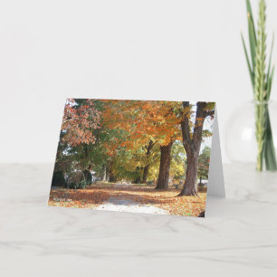 Tarjeta Camino de la gloria