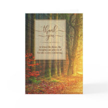 Camino de solidaridad en un bosque iluminado por l