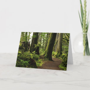 Tarjeta Camino entre gigantes