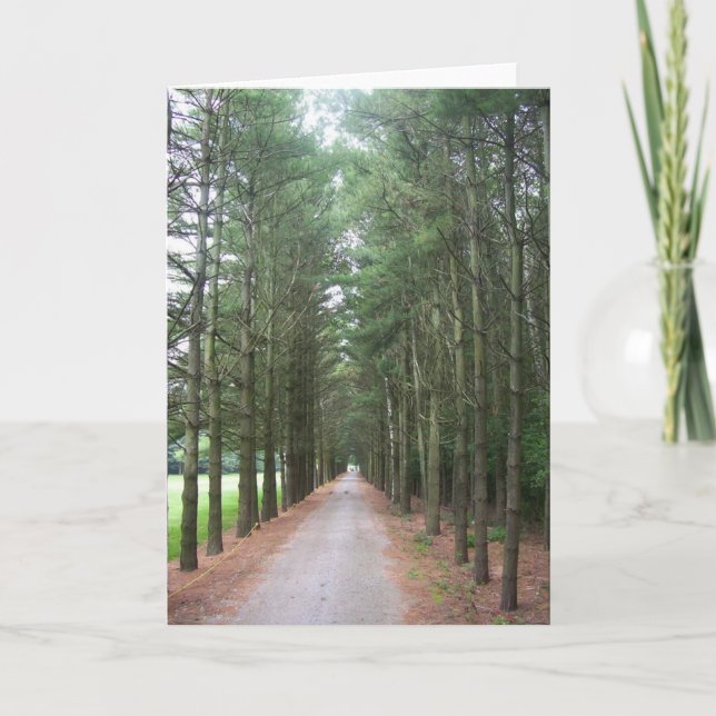 Tarjeta Caminos (Anverso)