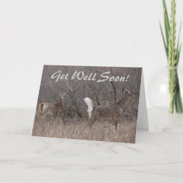 Tarjeta Camiones de primavera de ciervos de cola blanca D1