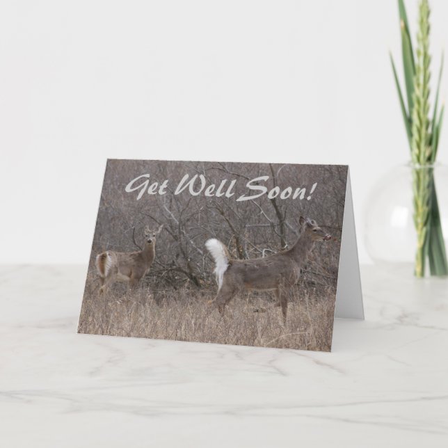 Tarjeta Camiones de primavera de ciervos de cola blanca D1 (Anverso)