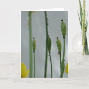 Tarjeta Camionetas y sombra 11 Fotomía Floral Saludo C