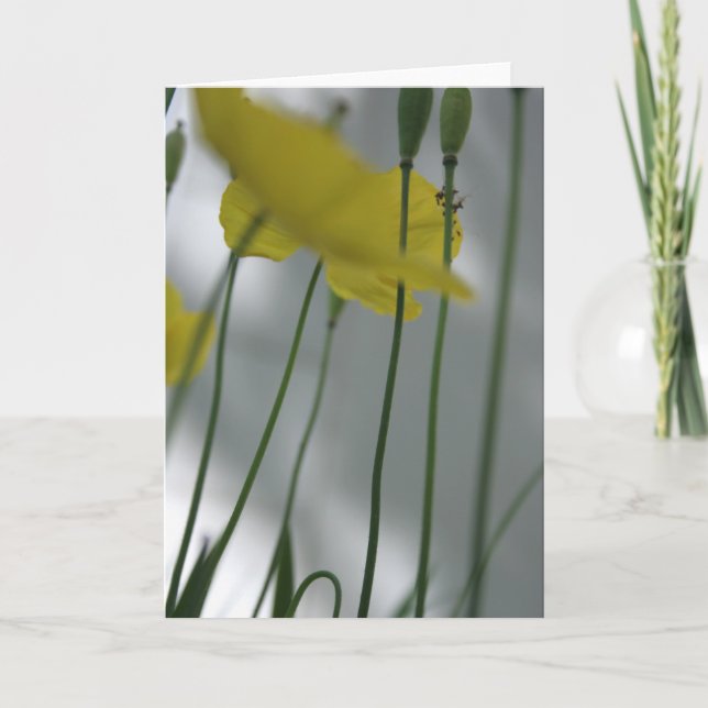 Tarjeta Camionetas y sombra 8 Fotomía Floral Saludo C (Anverso)