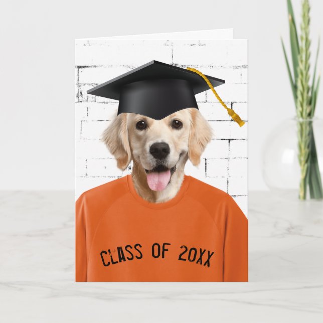 Tarjeta Camiseta Naranja Graduate Golden Retriever (Anverso)