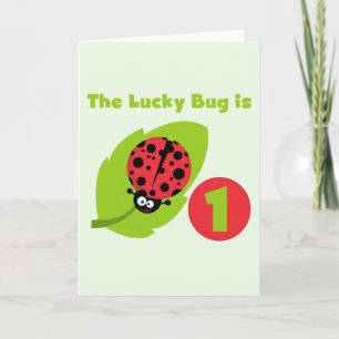 Tarjeta Camisetas y regalos de cumpleaños de Lucky Bug