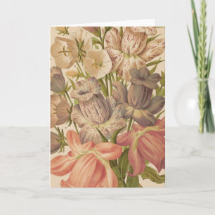 Tarjeta Campanula   George Nicholson