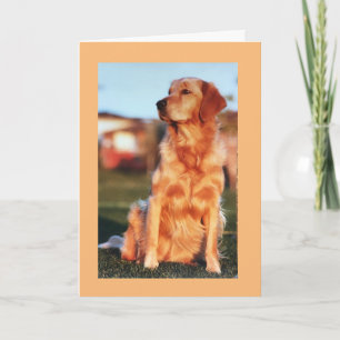 Tarjeta Campeón Golden Retriever Perro Maravilloso