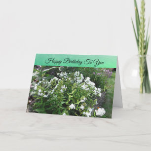Tarjeta Campo blanco de flores feliz cumpleaños Bonito