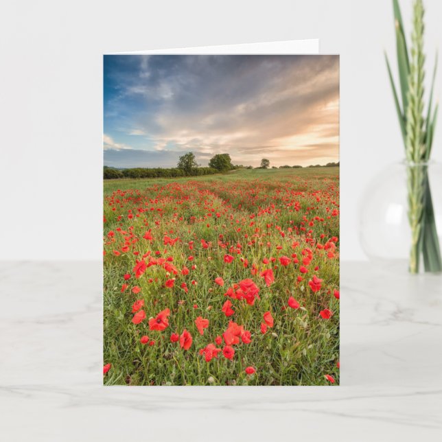 Tarjeta Campo de amapolas (Anverso)