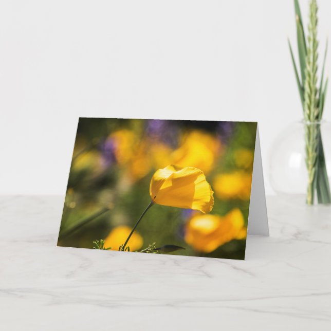 Tarjeta Campo de baile de los amapolas (Anverso)