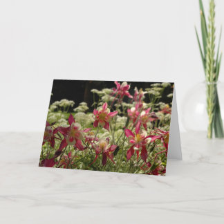 Tarjeta Campo de Columbines