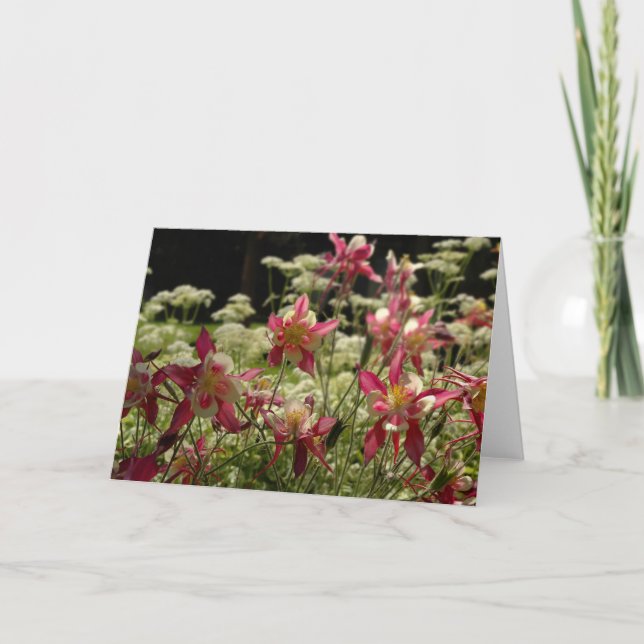 Tarjeta Campo de Columbines (Anverso)