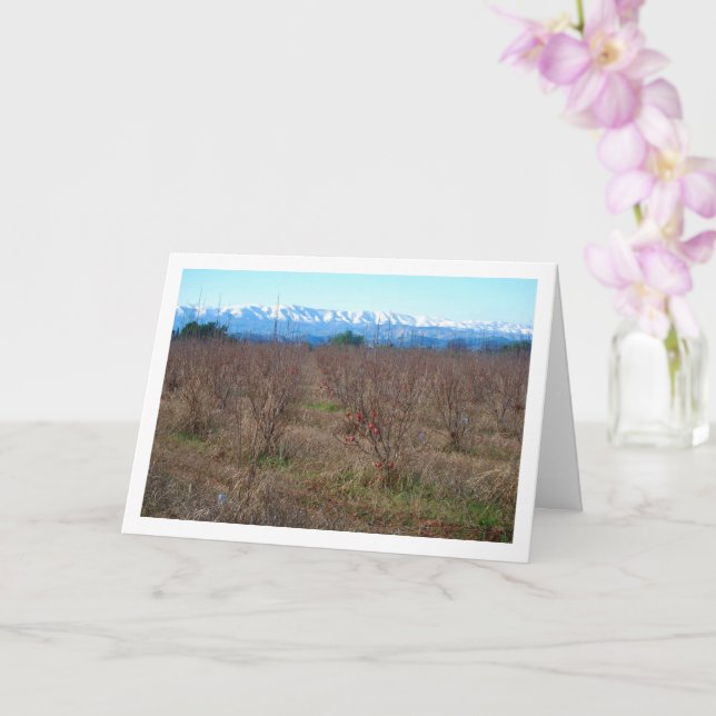 Tarjeta Campo de fruta Persimmon y montañas nevadas (Orquídea)