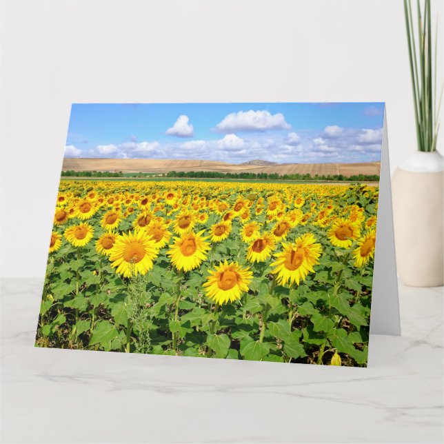 Tarjeta Campo de girasol (Anverso)