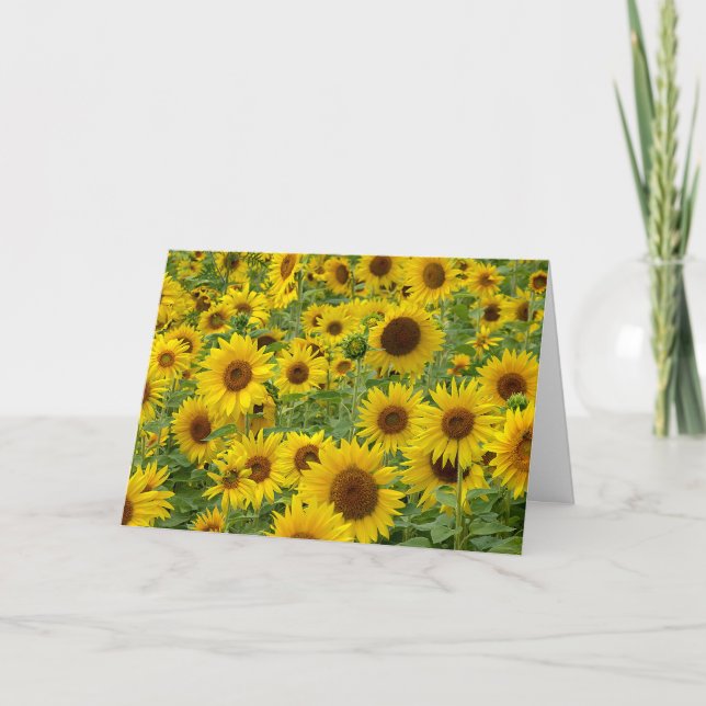 Tarjeta Campo de girasol de cumpleaños (Anverso)