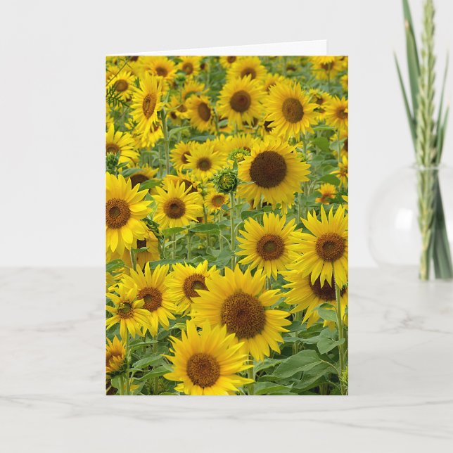 Tarjeta Campo de girasol de cumpleaños (Anverso)