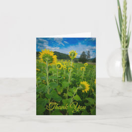 Tarjeta "Campo de girasoles de Pensilvania"