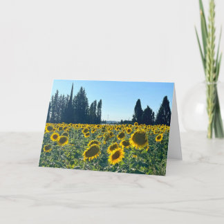Tarjeta Campo de Girasoles, Provenza, Francia -