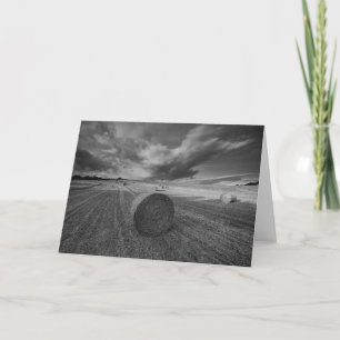 Tarjeta Campo de la cebada de B&W